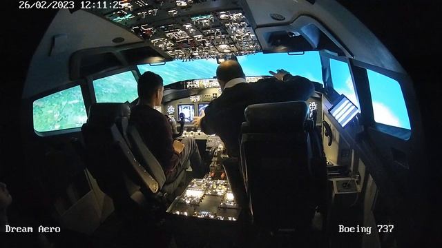 Авиатренажер Dream Aero