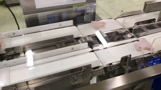 Весовой сортировщик ВЕСТАЛИНК - стейк тунца