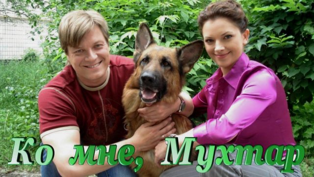 Клип на песню "Ко мне, Мухтар!