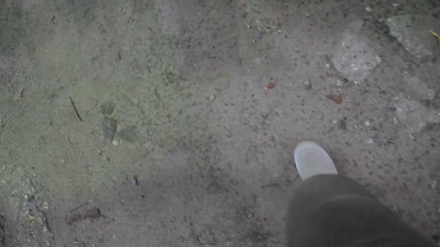 Удивляющий Большой садовый пруд(Академические пруды))