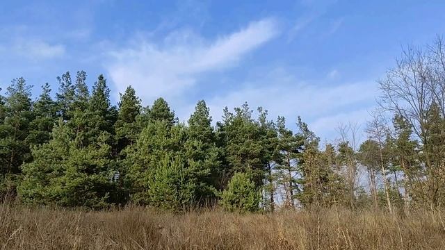 5 декабря народный праздник Прокопьев день. Запреты дня. Именинники дня. Народные приметы и традици