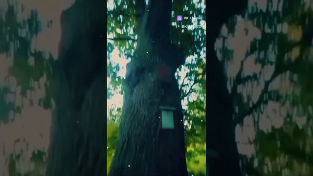 Фотосессия🌸