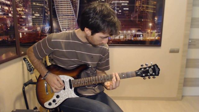 Washburn WM200 Custom Shop USA Demo