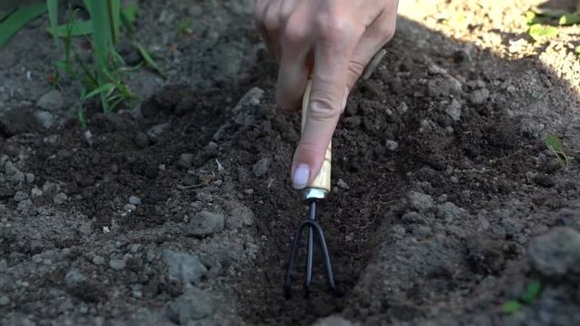 Набор садовых инструментов «Все в сад»