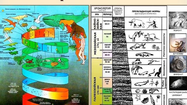 история земной коры