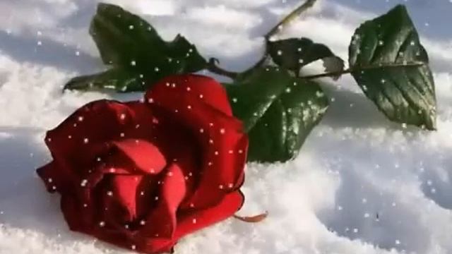 Любовь не может быть пополам.mp4