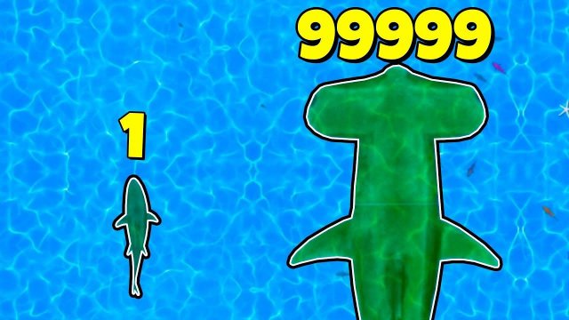 ЭТА АКУЛА РАСТЕТ БЕСКОНЕЧНО !! В ИГРЕ SHARK: FEED AND GROW