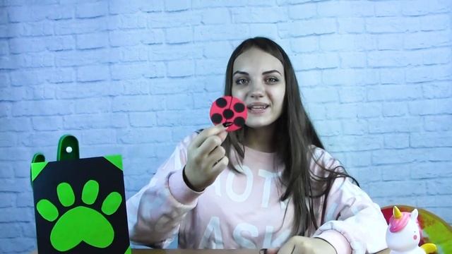 DIY Канцелярия в стиле Леди Баг и Супер Кота Своими Руками Back To School Алина Зосим