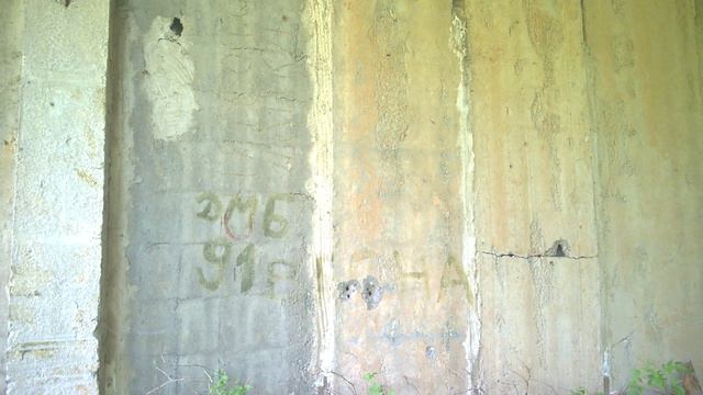 Приключения Сережи и Полины на даче (Часть 2)