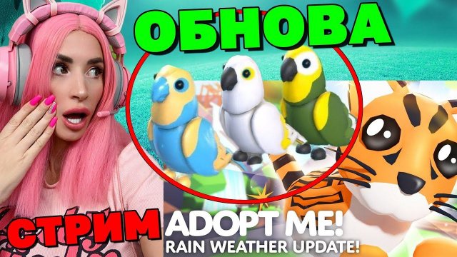 АДОПТ МИ ОБНОВА СТРИМ ЖЕНЯША Amazon Birds & Ocelots! Pirate Boats!