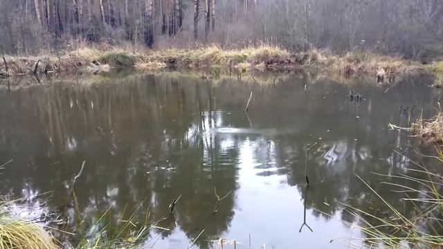 ?Что будет если взорвать мощную петарду в воде?ТЕСТ ПЕТАРД В ВОДЕ?ВЗРЫВАЕМ ПЕТАРДЫ