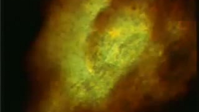 ТРУДНОЕ ПУТЕШЕСТВИЕ СПЕРМАТОЗОИДА