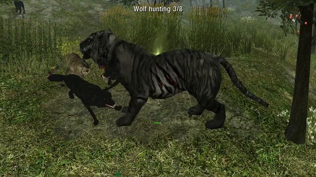 Life of Black Tiger Gameplay