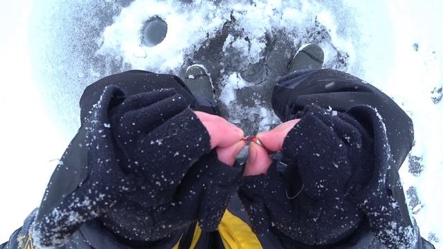 ЛУЧШАЯ НАСАДКА на РОТАНА! Подводное видео. Ловля РОТАНА зимой. Поклевки ротана