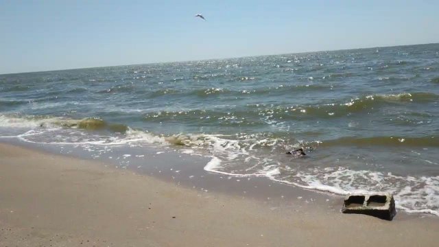 Море, Солнце, Волны, Пляж, Песок и Природа.