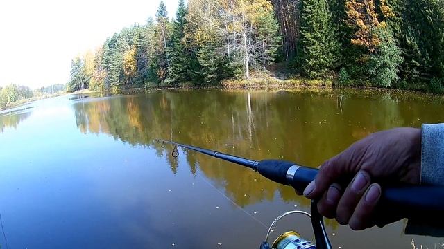 Ловля на отводной поводок окуня и щуки.
