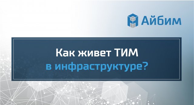Как живет ТИМ в инфраструктуре?