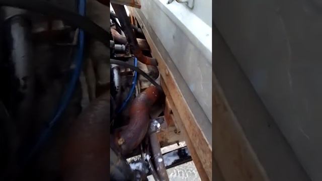 ЯМЗ 236 на МАЗ Зубрёнок