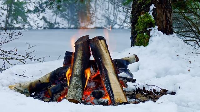 ? Музыка огня. Костер на снегу. Белоснежная атмосфера ❄️