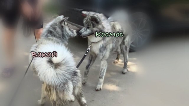 ВСТРЕЧА С БРАТОМ