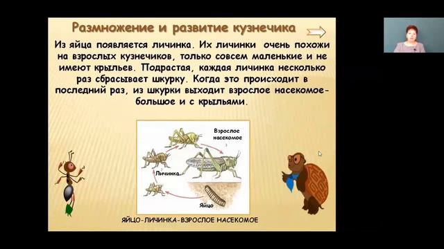 Окружающий мир 3 класс 12-13 недели. Разнообразие животных. Охрана животных