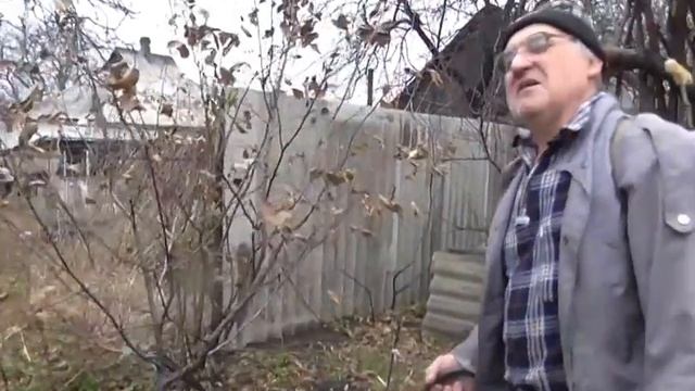 Осеннее Опрыскивание груш и яблонь от парши.
