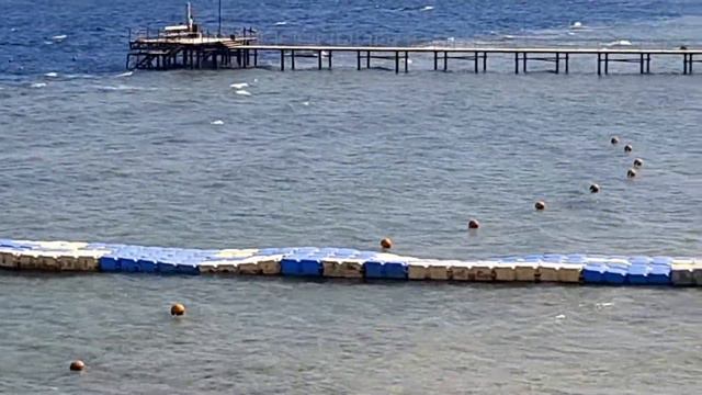 Какая погода в феврале в Шарм эль Шейхе?