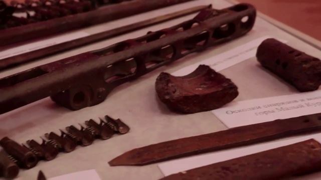 МОУ «Москворецкая гимназия»
Московская область, г. Воскресенск
Дорогой событий