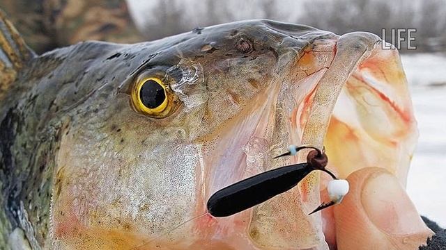 На эту мормышку должны ловить все! Как ловить рыбу зимой на чёртик?