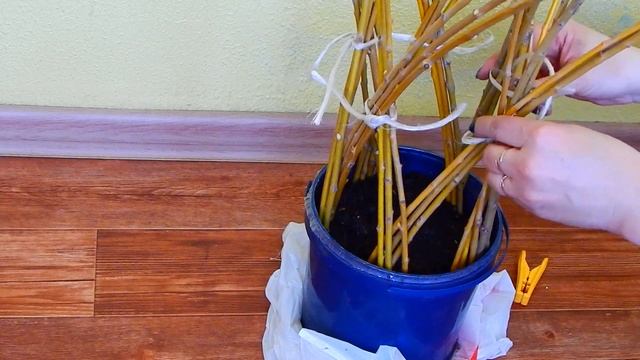 ПЛЕТЕНОЕ ДЕРЕВО ИЗ ОБЫЧНОЙ ИВЫ...УКРАШЕНИЕ В САД..