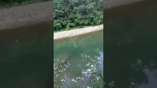 VID_30971224_045033_813.mp4