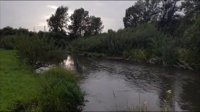 Звуки природы / 8 часов расслабляющих звуков природы / Пение птиц и неторопливое журчание реки