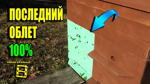 ОРГАНИЗАЦИЯ ПОСЛЕДНЕГО ОБЛЕТА ПЧЕЛ И ВСЕ, ЧТО С НИМ СВЯЗАНО. ДЛЯ НАЧИНАЮЩИХ ПЧЕЛОВОДОВ 22-41
