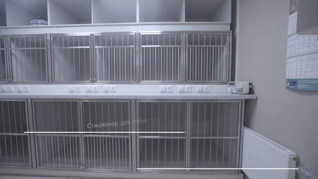 Видео экскурсия по ветеринарной клинике