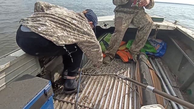 sea pro 9.9-15 на прогресс 4