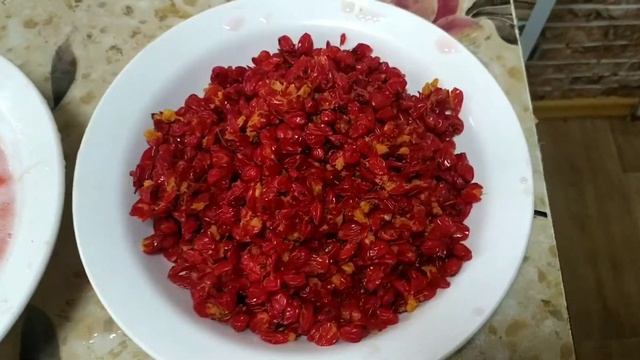 Добываем сок из рябины и ничего больше