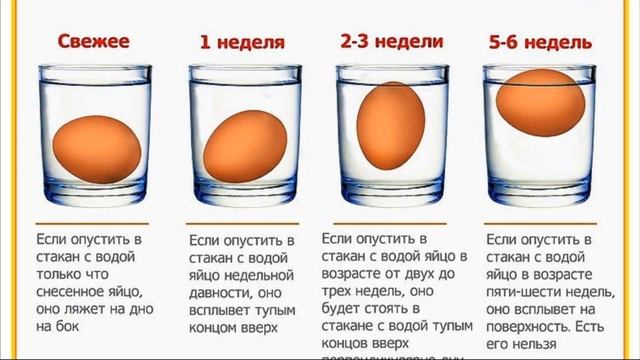 5 Класс. Как определить свежесть яиц