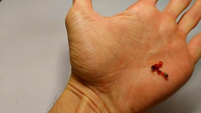 КАК НАСАДИТЬ МОТЫЛЯ? 4 СПОСОБА. Пучковяз, мотыль колечком, ЛУЧШАЯ насадка? Рыбалка с наживкой мотыл