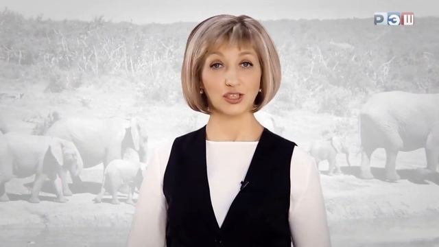 Движение животных