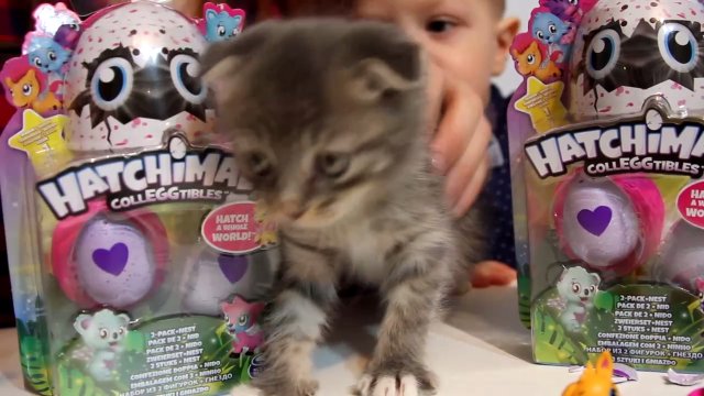 Яйца с сюрпризом Хэтчималс + Конкурс от Маши! Hatchimals Colleggtibles Surprise Eggs Opening.