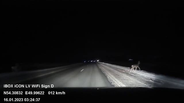 зимой на трассе ночью. может ждать сюрприз.