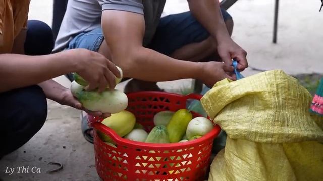 Harvesting Litchi Fruit Garden goes to the market sell - Animal Care | Lý Thị Ca
