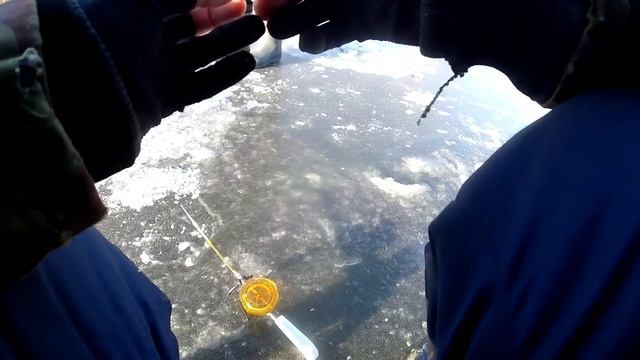 Ловля ротана! на что лучше клюет ротан?