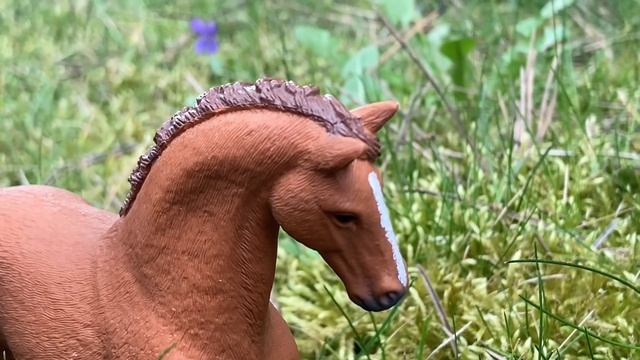 Типичный Schleich сериал 2 часть/ лошади шляйх/ лошади Schleich/ шляйх сериал/ Schleich/ сериал