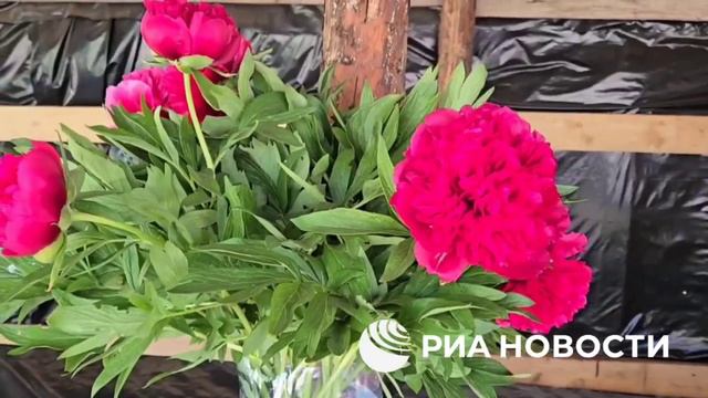 Женщины на СВО