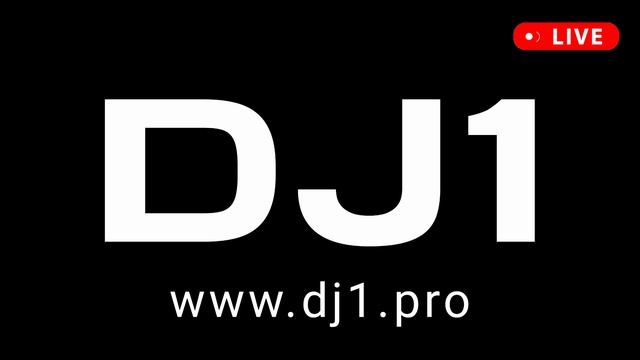 Фестиваль электронной музыки 2024 DJ1