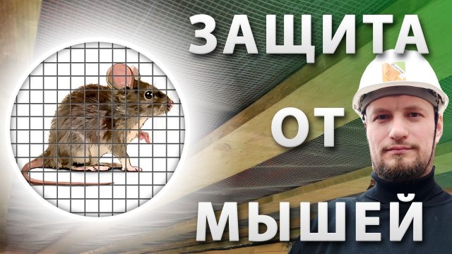 Мыши в каркасном доме. Как защитить каркасный дом от мышей?