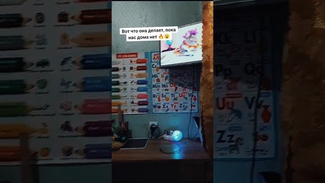Вот что она делает, пока нас нет дома ???