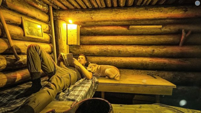 ЖИВУ в ЗЕМЛЯНКЕ с РЫЖИМ ЗВЕРЕМ - ВЕРНУЛСЯ в ДОМ ПОД ЗЕМЛЕЙ _ Жизнь в ТАЙГЕ - Лес