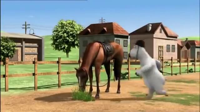 БЕРНАРД: Конный спорт